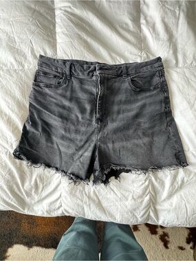 American Eagle plus size 16 faded Black Frayed Hem Denim Shorts